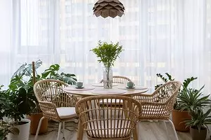 Wicker furniture and many indoor plants: in this apartment has created an atmosphere of vacation 21981_1