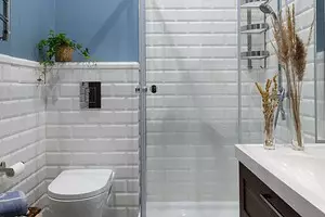 शॉवर के साथ एक छोटे बाथरूम डिजाइन सजावट 2245_1