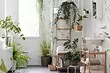 6 rum där konstgjorda växter kan användas
