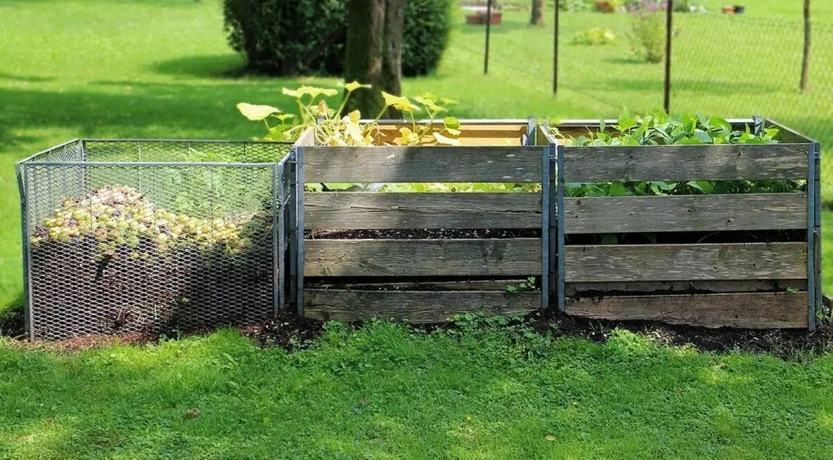 Hoe compost te maken met je eigen handen
