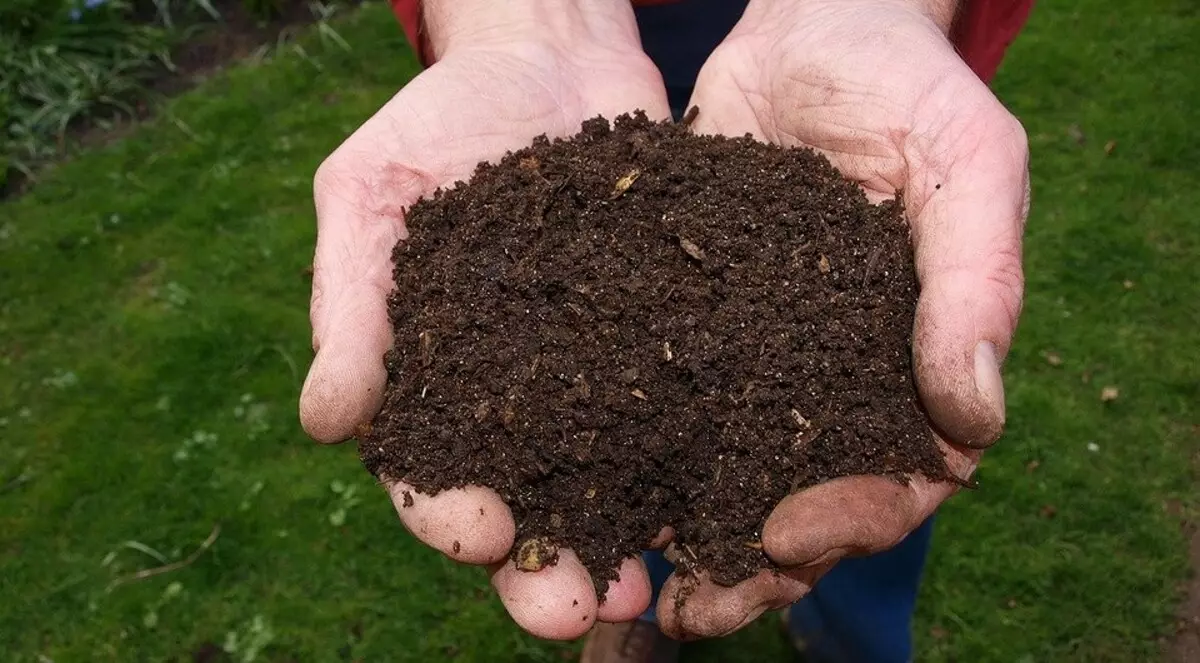 Jak vytvořit kompost s vlastními rukama 2361_3