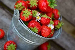 4 best way to store strawberry harvest 2423_1