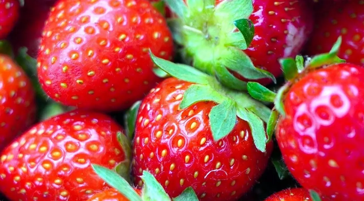 4 best way to store strawberry harvest 2423_3