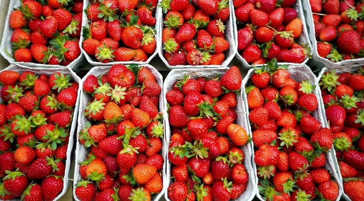 4 best way to store strawberry harvest 2423_5