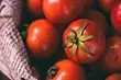 How to save tomatoes: 6 ways for your crop