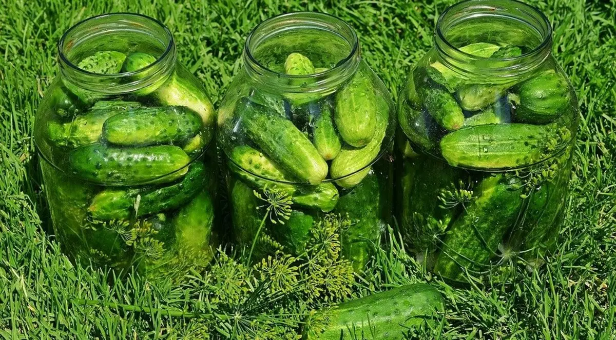 Duk sirrin na dogon lokaci na cucumbers 2452_6