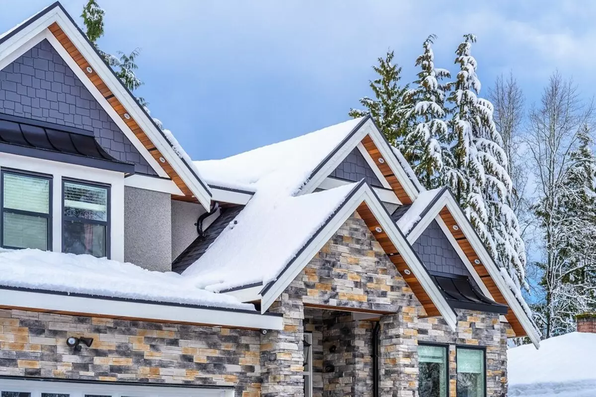 Што ви е потребно за да го заштитите покривот: 6 поени што треба да ги знаете 2512_10