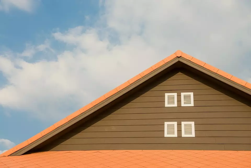 Wat heb je nodig om het dak te beschermen: 6 punten die je moet weten 2512_9