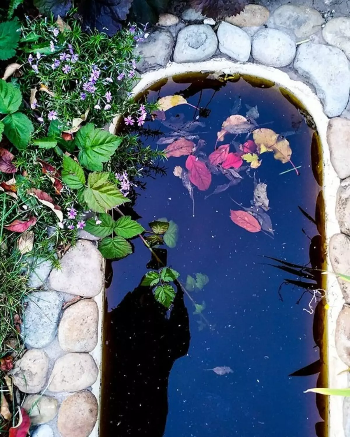 7 frequent errors in the design of a decorative pond in the country 2548_12