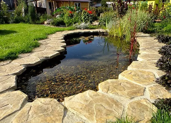7 frequent errors in the design of a decorative pond in the country 2548_6