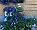 5 manieren om de tuin met bloemen in containers te regelen (eerst, het is gemakkelijk) 2557_18