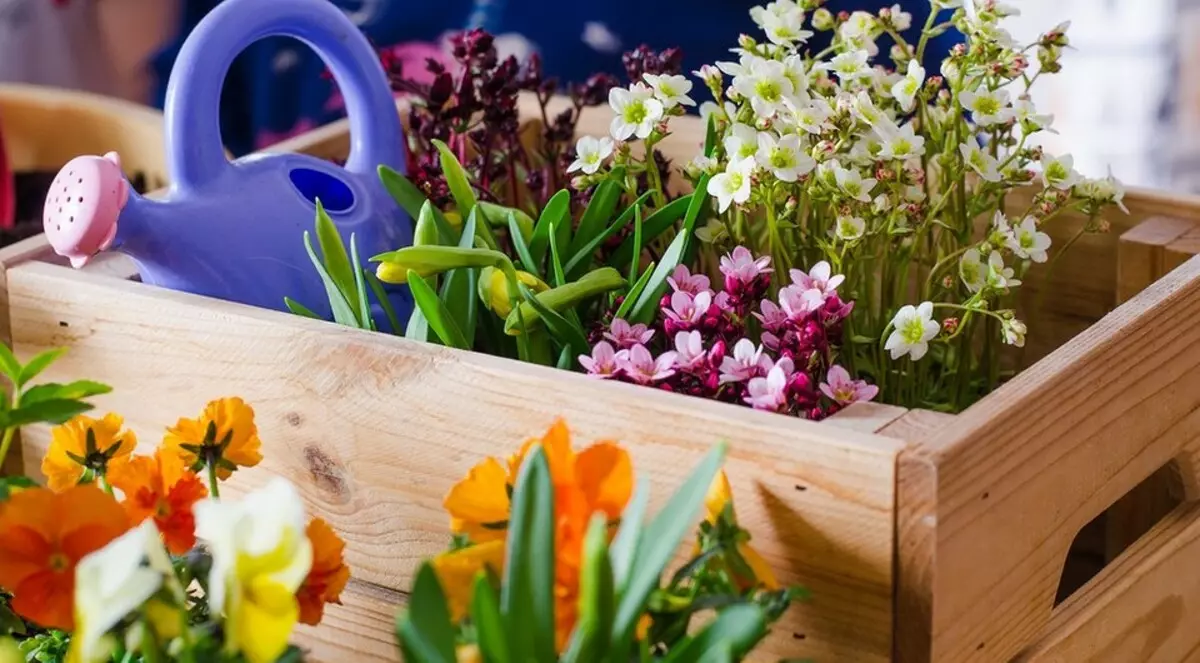 5 načinov za ureditev vrta s cvetjem v posodah (najprej, to je enostavno)