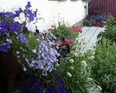 5 mënyra për të rregulluar kopshtin me lule në kontejnerë (së pari, është e lehtë) 2557_20