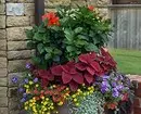 5 manieren om de tuin met bloemen in containers te regelen (eerst, het is gemakkelijk) 2557_21