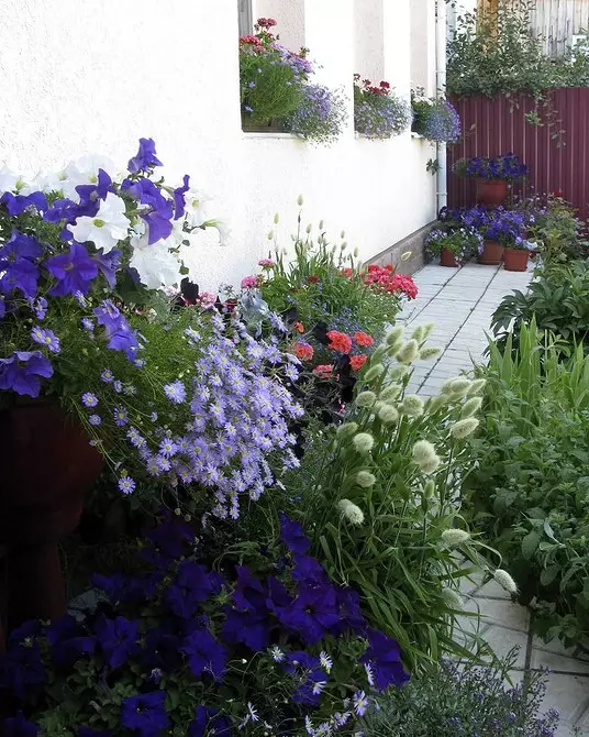 5 manieren om de tuin met bloemen in containers te regelen (eerst, het is gemakkelijk) 2557_24