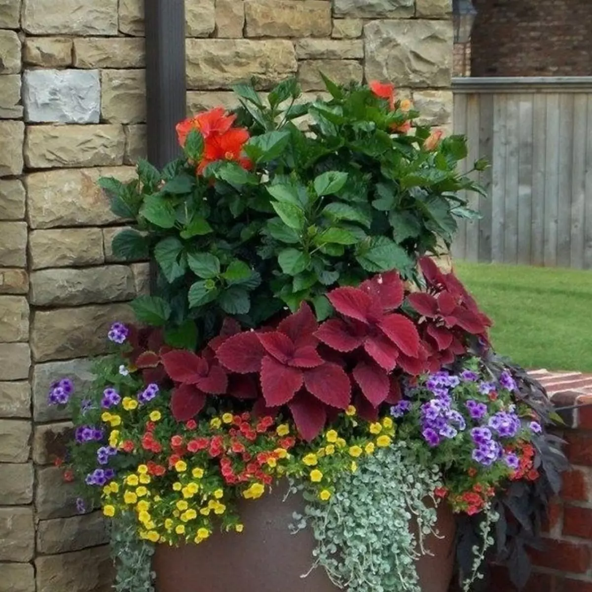 5種方法可以在容器中排列花的花園（首先，這很簡單） 2557_25