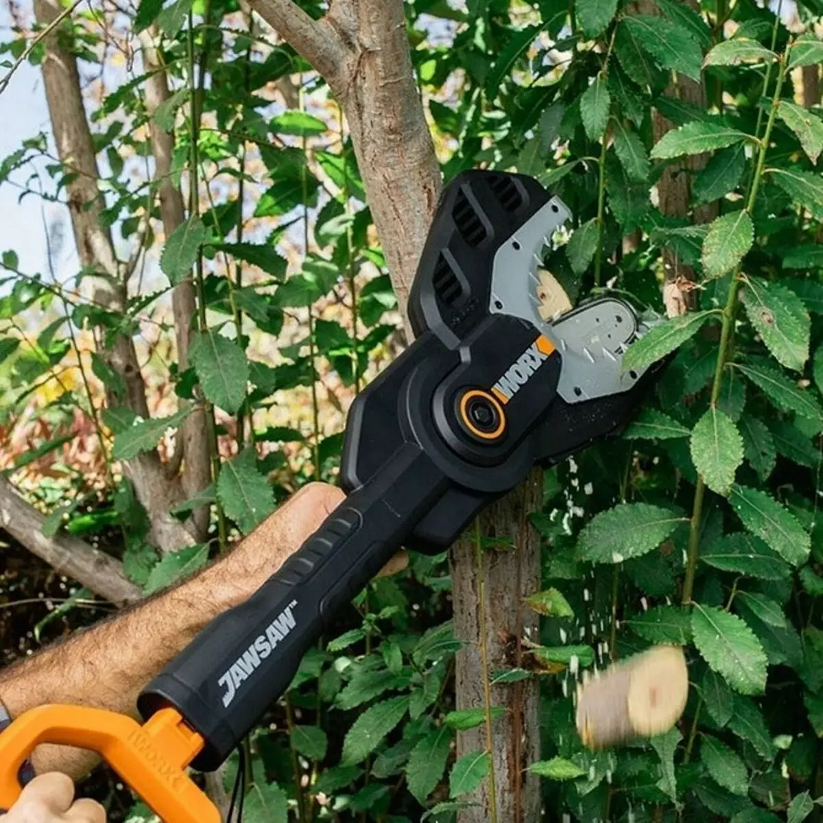 Comment couper l'arbre: un guide détaillé pour les jardiniers débutants 2566_29