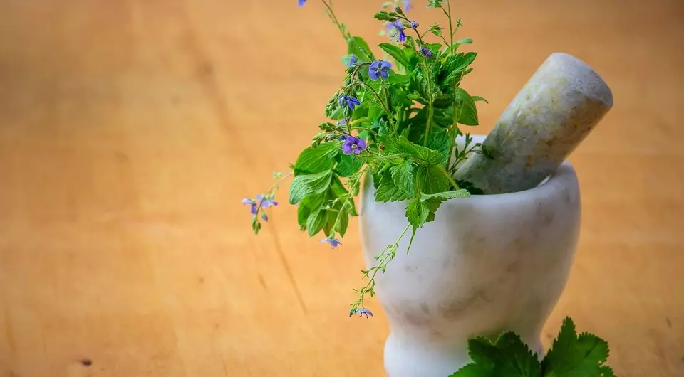 8 φαρμακευτικά φυτά στον κήπο σας, τα οποία πρέπει να χτυπηθούν (και να αποθηκεύσετε το κιτ πρώτων βοηθειών)