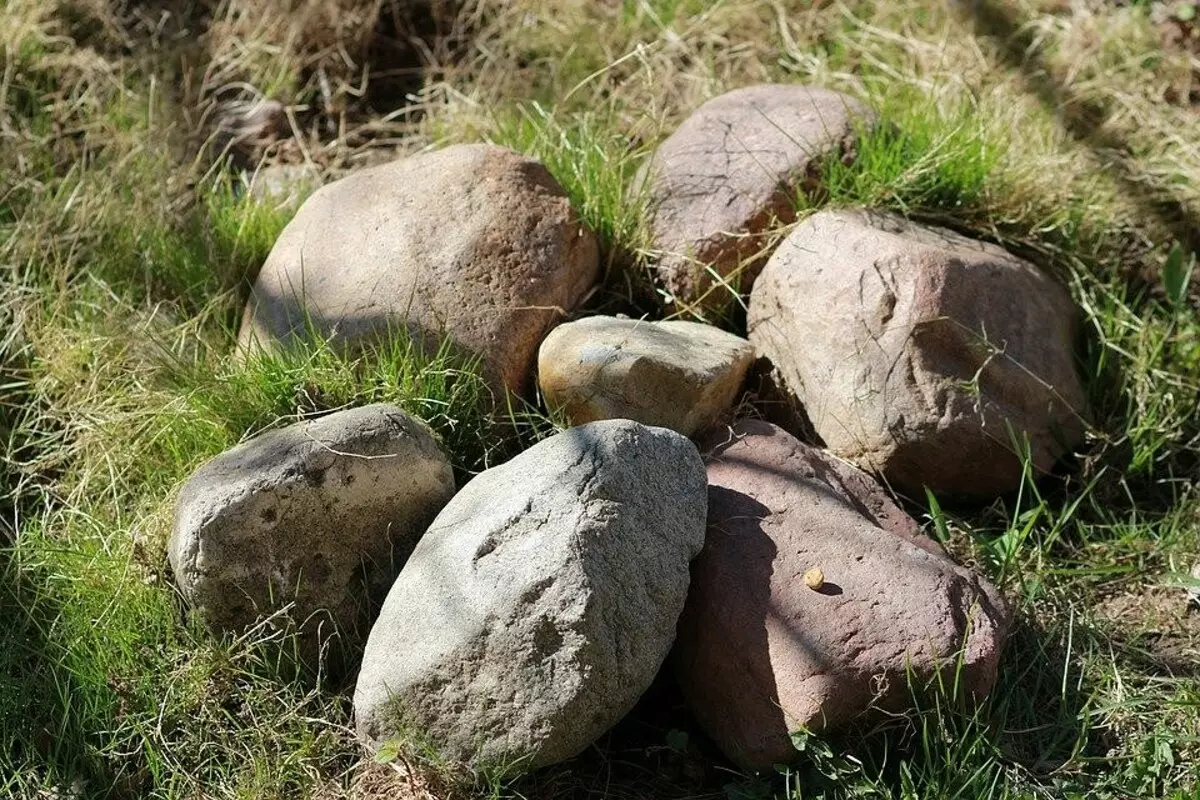 نحوه مراقبت از سنگ های تزئینی و سنگ های قیمتی در باغ 2598_11
