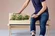 Lámparas Kashpo, plantas en muebles y 7 ideas creativas más para invernaderos.