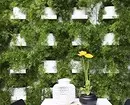 Жив ѕид од растенија: едноставни совети за креирање и примери кои ќе ве инспирираат 26077_19