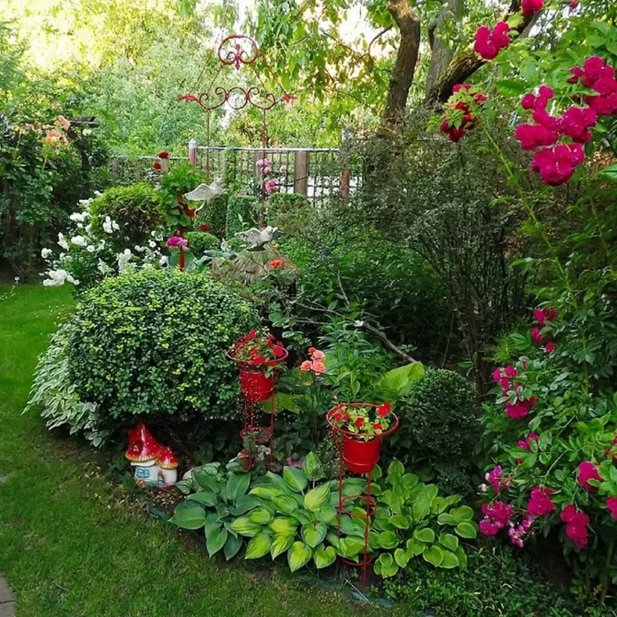 Comment organiser un lit de fleurs avec des conifères et des fleurs 2616_103