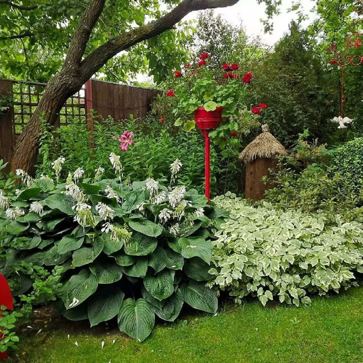 Hvordan arrangere en blomsterbed med nåletræer og blomster 2616_104