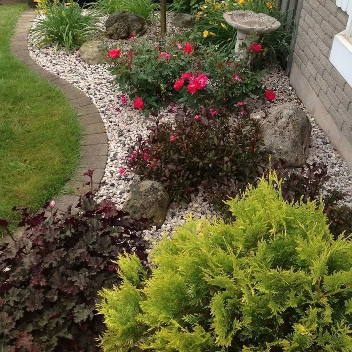 Hvordan arrangere en blomsterbed med nåletræer og blomster 2616_17