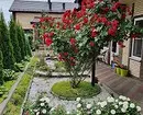 Hvordan arrangere en blomsterbed med nåletræer og blomster 2616_23