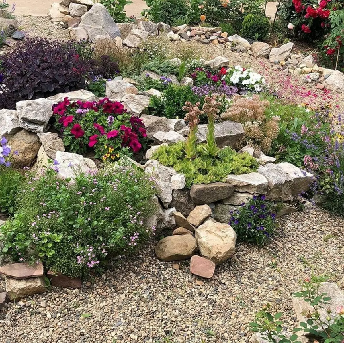 Hvordan arrangere en blomsterbed med nåletræer og blomster 2616_53