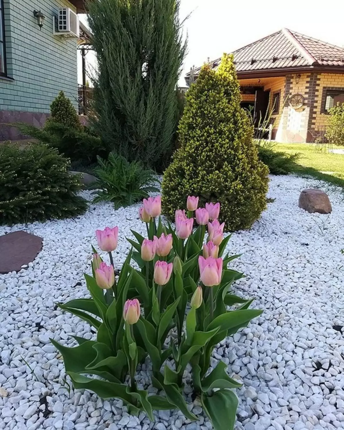 Comment organiser un lit de fleurs avec des conifères et des fleurs 2616_58