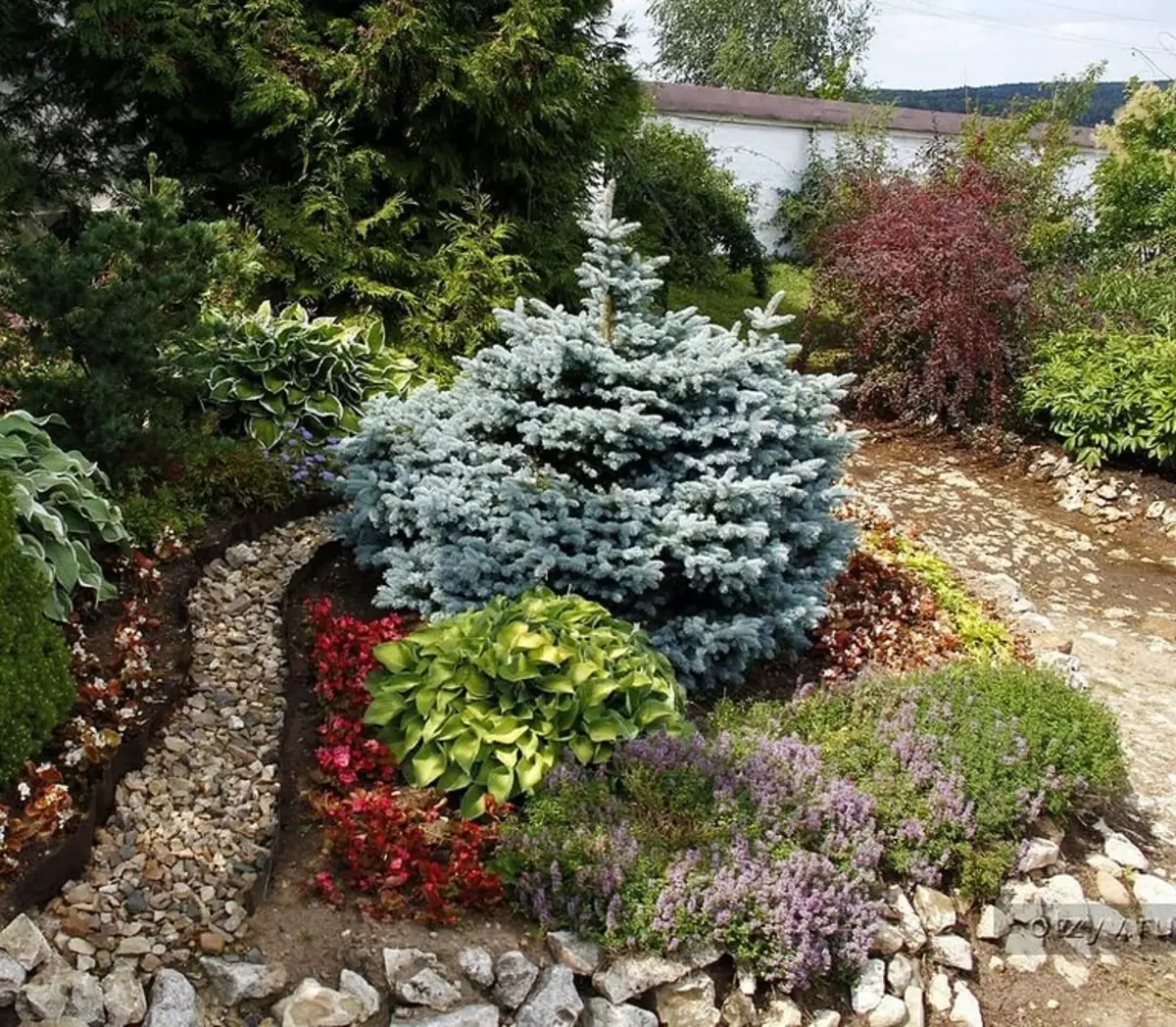 Hvordan arrangere en blomsterbed med nåletræer og blomster 2616_92