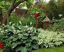 Hvordan arrangere en blomsterbed med nåletræer og blomster 2616_97