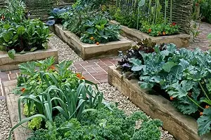 زیبا و مفید: 10 سبزیجات که می توانند برای تزئین باغ فرود آمدند 2706_1