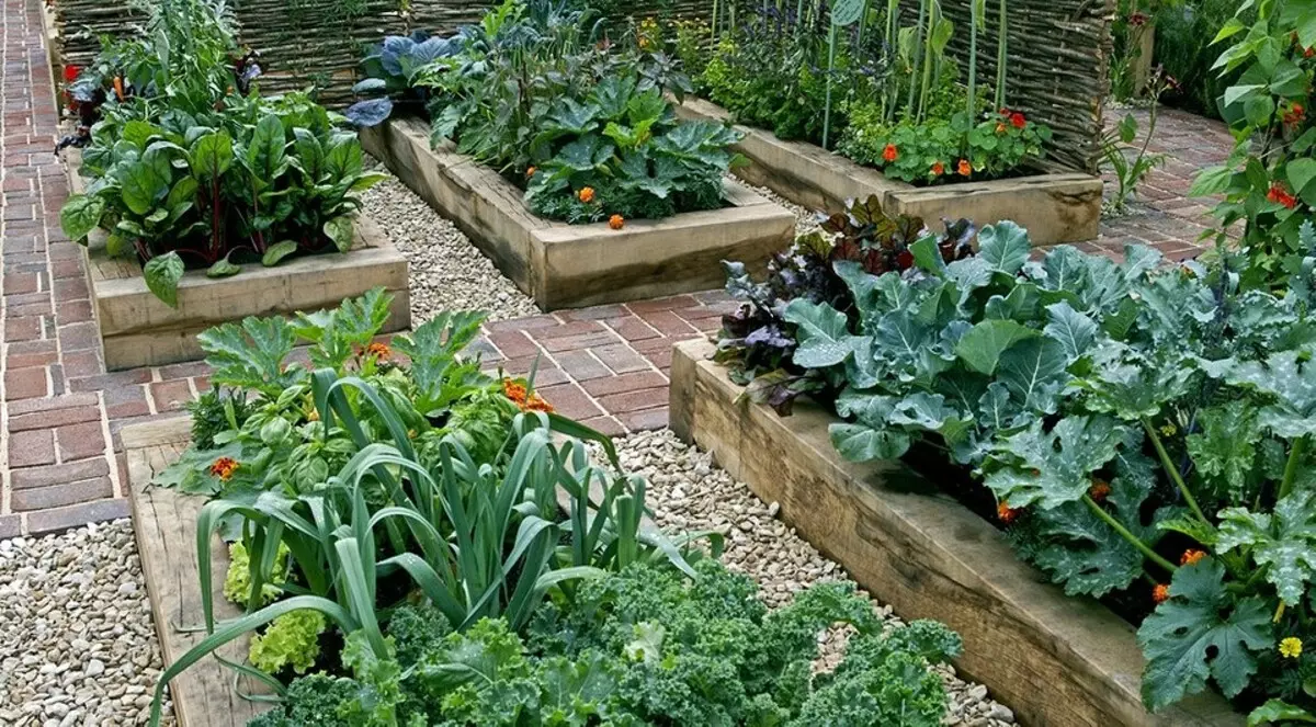 ښکلی او ګټور: 10 سبزیجات چې د باغ سینګار کولو لپاره ایښودل کیدی شي