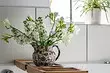 9 Hasznos Lyfhakov Powered Home Növények, amelyek pontosan érdemesek