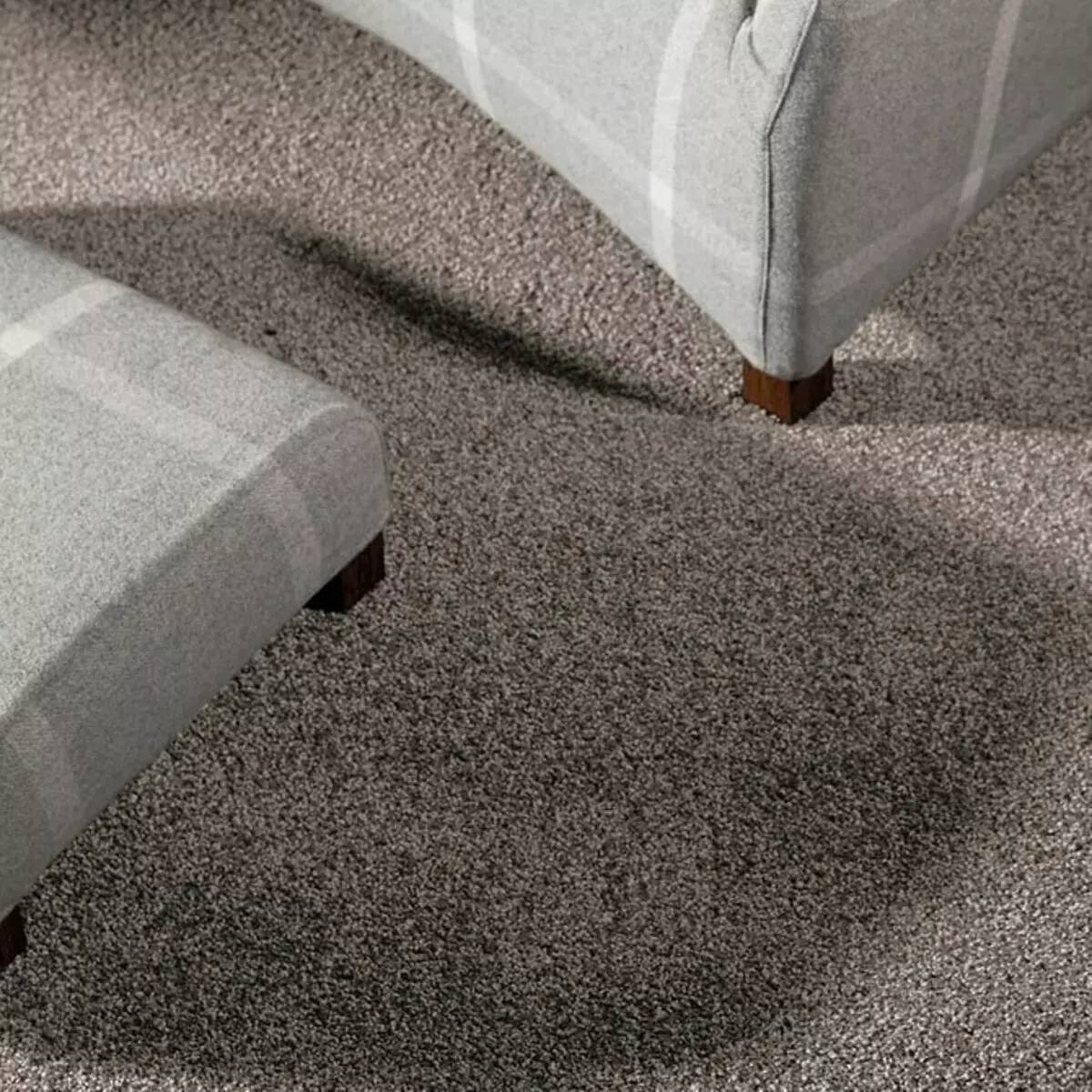 Is het de moeite waard om tapijt in het interieur te gebruiken: voor- en nadelen 27301_16