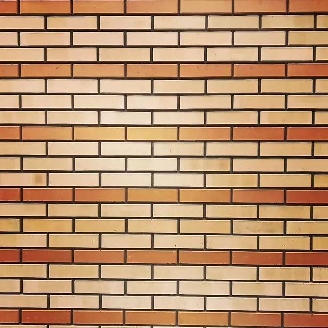 Duk game da Brickwork: Nau'in, makirci da dabara 2748_20