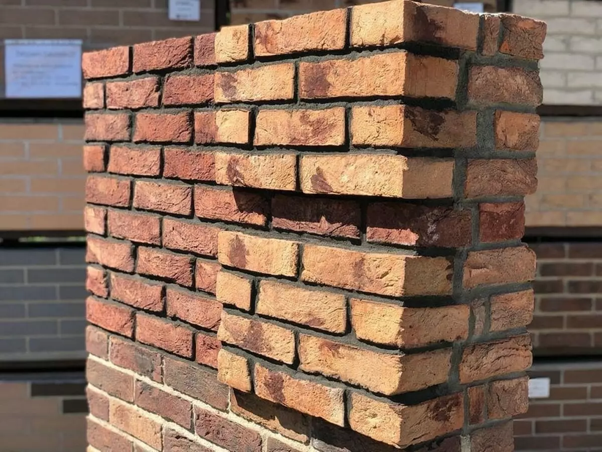 كل شيء عن brickwork: أنواع، مخططات وتقنية 2748_40