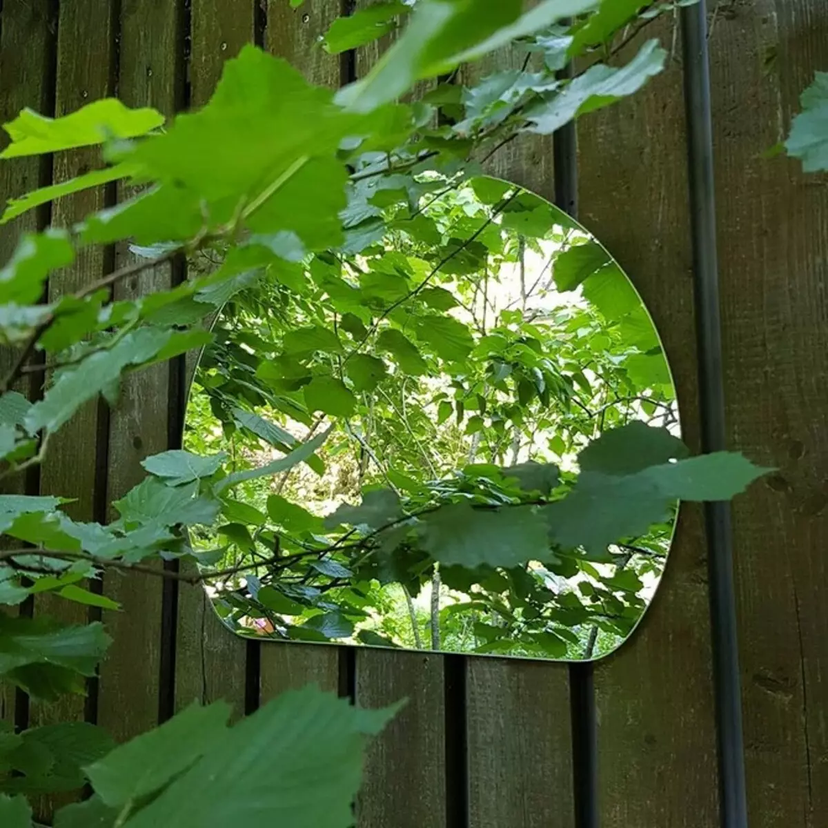7 причин включити дзеркало в декор саду (ви навіть ви замислювалися!) 2763_36