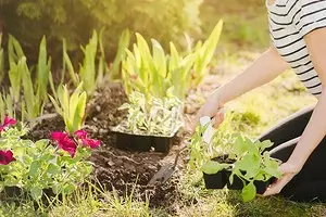 8 van de meest trouwe ideeën in het landschapsontwerp van de tuin (beter niet te herhalen!) 2787_1