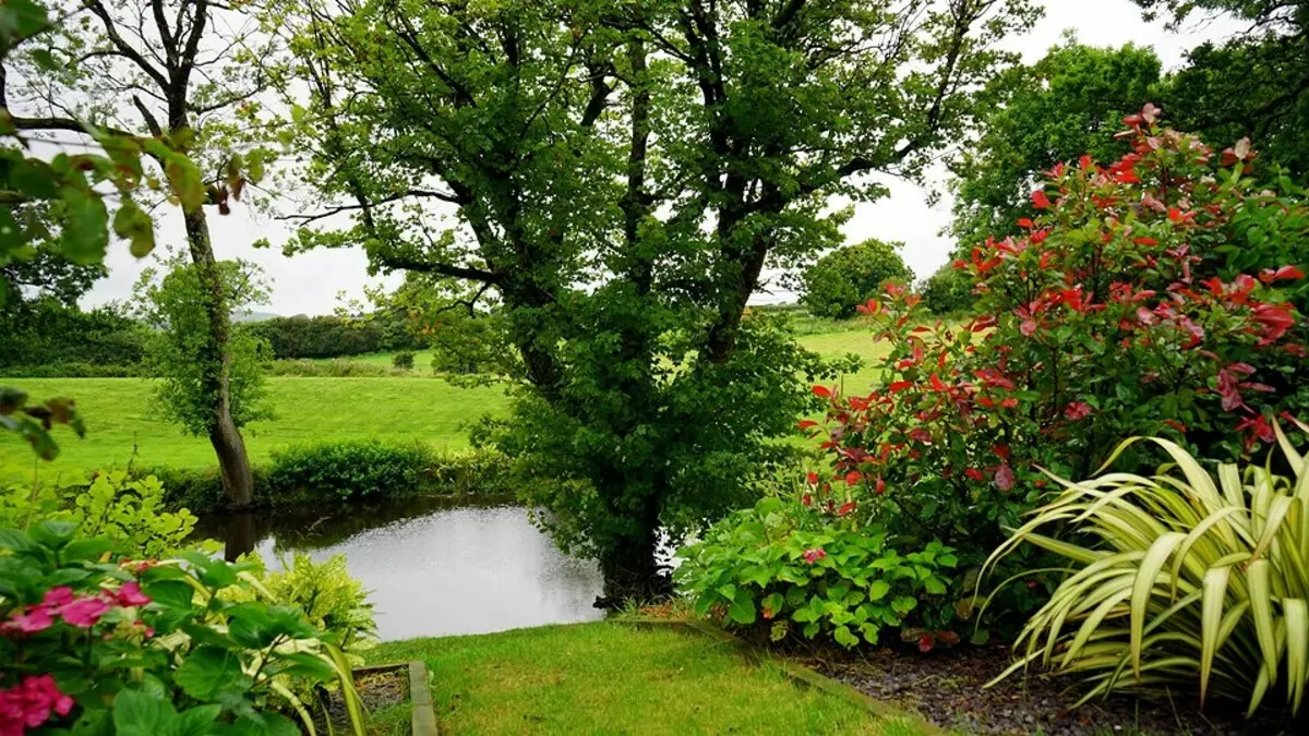 8 van de meest trouwe ideeën in het landschapsontwerp van de tuin (beter niet te herhalen!) 2787_7