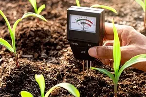 Hogyan kell dezzelni a talajt a kertben: 5 hatékony technikák 2847_1