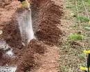 Cómo desoxidar el suelo en el jardín: 5 técnicas efectivas. 2847_13
