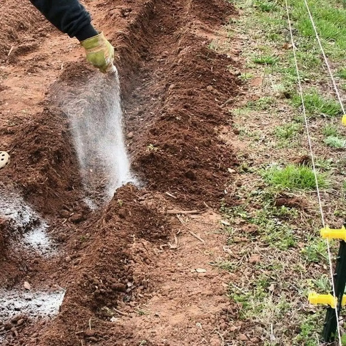 Кислая почва на огороде что делать. Известковать почву. Известкование почвы. Раскисление грунта. Раскисляем почву.