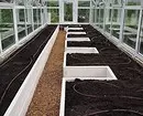 Kinokolekta namin ang isang drip irrigation system para sa greenhouses mula sa isang bariles para sa 3 hakbang 2883_27