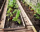 Kinokolekta namin ang isang drip irrigation system para sa greenhouses mula sa isang bariles para sa 3 hakbang 2883_9
