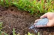 什麼礦物肥料帶來春季：毒品類型的詳細指南
