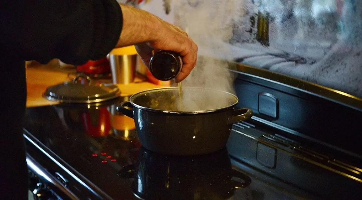 Gach eolas faoi Plátaí Ionduchtúcháin: Prionsabal Oibríochta, Buntáistí agus CONS 2957_7