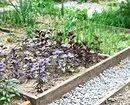 What and how to land on a vegetable flowerbed: 7 ideas of useful and unusual design of beds 3017_14
